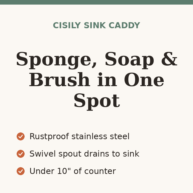 Cisily Sponge Holder with Brush Holder for Kitchen Sink